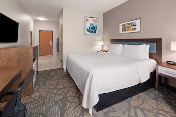 Room, 1 King Bed, Accessible, Non Smoking (Mobility Bathtub w/Grab Bars)