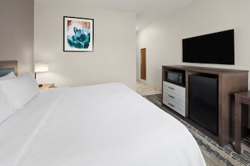 Room, 1 King Bed, Accessible, Non Smoking (Mobility Roll-In Shower)
