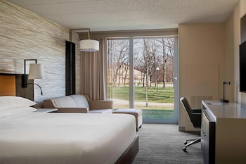 Room, 1 King Bed (Mobility/Hearing Access, Roll-In Shwr)