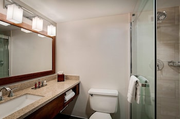 Executive Room, 2 Double Beds