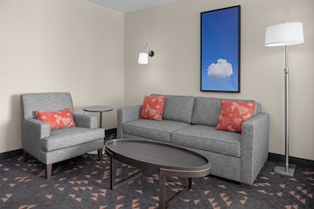 Suite, 1 King Bed with Sofa bed
