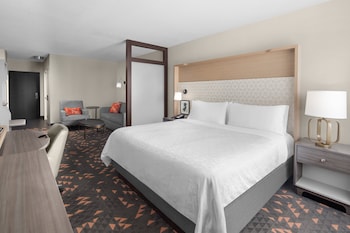 Suite, 1 King Bed with Sofa bed