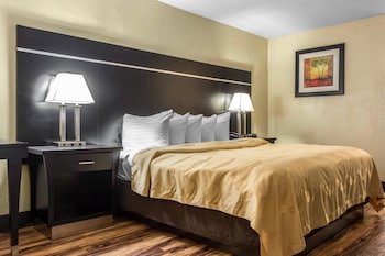 Room, 1 King Bed, Accessible, Non Smoking