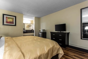 Room, 1 King Bed, Accessible, Non Smoking