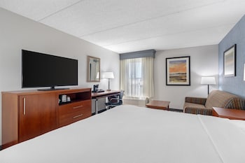 Standard Room, 1 King Bed, Non Smoking, Refrigerator (with Sofabed)