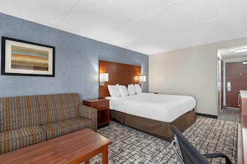 Standard Room, 1 King Bed, Non Smoking, Refrigerator (with Sofabed)