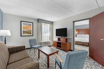 Suite, 1 King Bed, Non Smoking, Refrigerator & Microwave (with Sofabed)