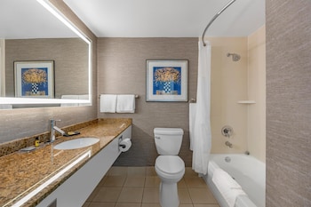 Suite, 1 King Bed, Non Smoking, Refrigerator & Microwave (with Sofabed)