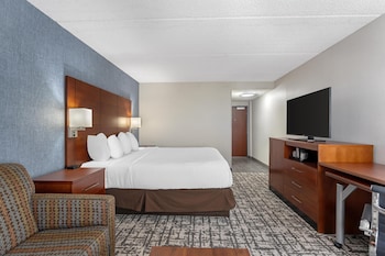 Standard Room, 1 King Bed, Non Smoking, Refrigerator (with Sofabed)