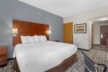 Standard Room, 1 King Bed, Accessible, Non Smoking