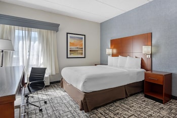 Standard Room, 1 King Bed, Accessible, Non Smoking