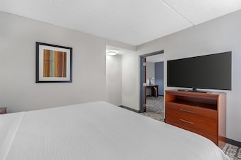 Suite, 1 King Bed, Non Smoking, Refrigerator & Microwave (with Sofabed)