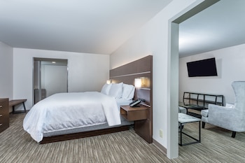 Suite, 1 King Bed