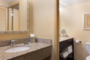 Traditional Room, 1 King Bed (Mobility Accessible, Roll-in Shower)