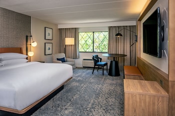 Traditional Room, 1 King Bed (Mobility Accessible, Roll-in Shower)