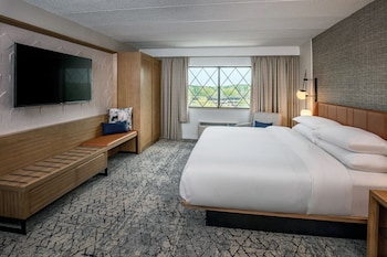 Traditional Room, 1 King Bed (Mobility Accessible, Roll-in Shower)
