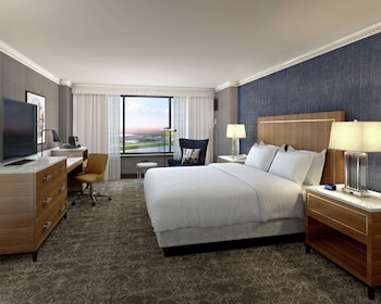 Business Room, 1 King Bed