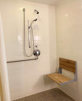 Room, 1 King Bed, Accessible (Roll-in Shower)