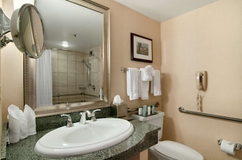 Room, 1 King Bed, Accessible (Roll-in Shower)