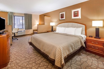 Standard Room, 1 King Bed, Non Smoking