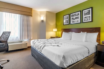 Room, 1 King Bed, Accessible, Non Smoking (Efficiency)
