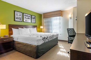 Standard Room, 1 King Bed, Non Smoking