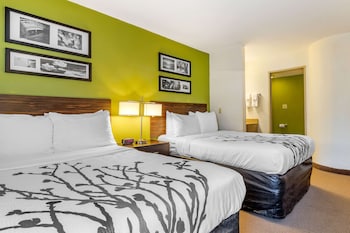 Standard Room, 2 Double Beds, Non Smoking