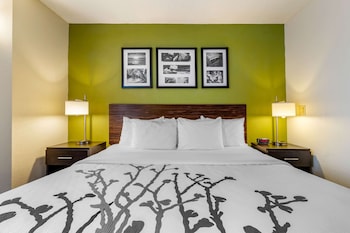 Room, 1 King Bed, Accessible, Non Smoking (Efficiency)
