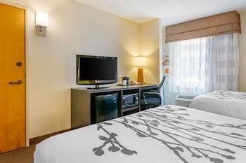 Standard Room, 2 Double Beds, Non Smoking