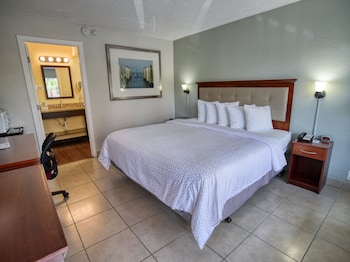 Standard Single Room, 1 King Bed