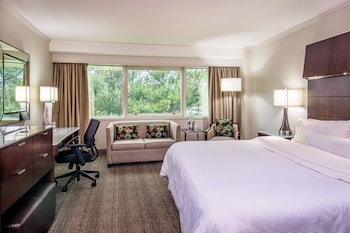 Traditional Room, 1 King Bed (Mobility Accessible, Roll-In Shower)