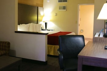 Standard Room, 1 King Bed, Non Smoking, Refrigerator & Microwave (Shower Only;with Sofabed)