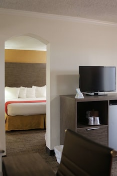 Suite, 1 King Bed, Non Smoking, Kitchenette (with Sofabed)