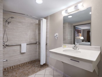 Room, 1 King Bed, Accessible, Non Smoking (Mobility, Roll-In Shower)