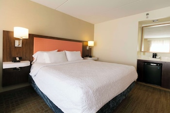 Standard Room, 1 King Bed with Sofa bed, Non Smoking