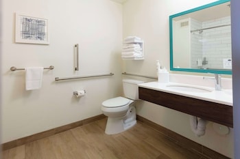 Room, 1 King Bed, Accessible (Roll-In Shower)