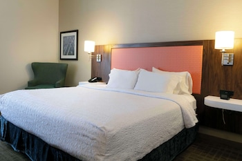 Room, 1 King Bed, Accessible, Bathtub