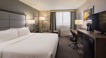 Standard Room, 1 King Bed (LEISURE)