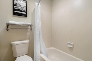 Standard Room, 1 King Bed, Non Smoking, Refrigerator & Microwave (Larger Room)