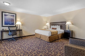 Standard Room, 1 King Bed, Non Smoking, Refrigerator & Microwave (Larger Room)