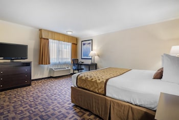 Standard Room, 1 King Bed, Non Smoking, Refrigerator & Microwave (Larger Room)