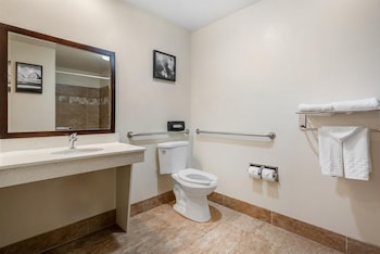 Standard Room, 1 King Bed, Accessible, Non Smoking