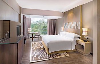 Room, 1 King Bed (Guest)