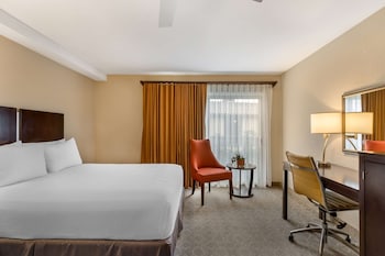 Standard Room, 1 King Bed, Non Smoking, Refrigerator