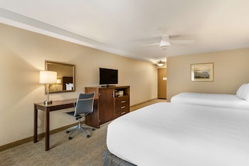 Standard Room, Multiple Beds, Non Smoking, Refrigerator (Larger Room)