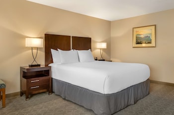 Standard Room, 1 King Bed, Accessible, Bathtub