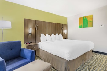 Standard Room, 1 King Bed, Non Smoking, Refrigerator