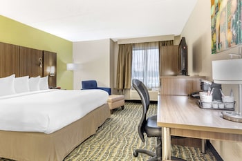 Standard Room, 1 King Bed, Non Smoking, Refrigerator