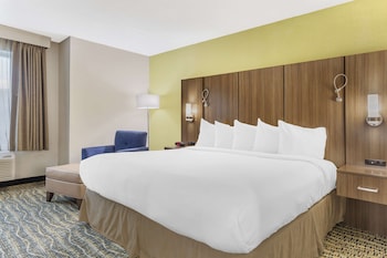Standard Room, 1 King Bed, Non Smoking, Refrigerator