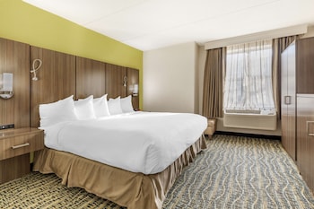 Standard Room, 1 King Bed, Accessible, Non Smoking